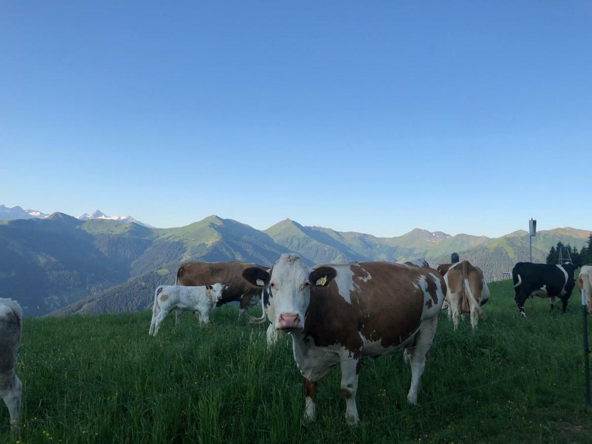 Familienbauernhof - Leogang Apartments Weissbacher Екстериор снимка